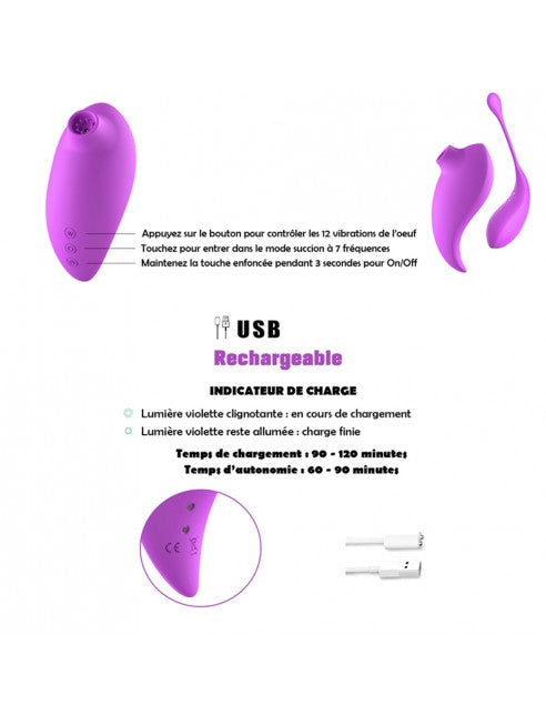 Mode d'emploi oeuf vibrant 2en1 rose avec stimulateur clitoridien