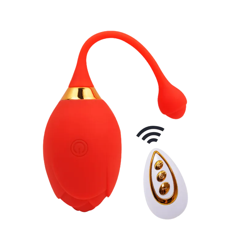 Oeuf Vibrant Télécommandé câble de recharge USB fourni